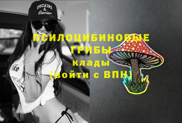 спайс Алзамай